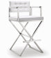 Director - Stainless Steel Barstool