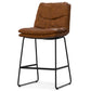 Danika - Counter Height Stool (Set of 2)