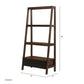 Ladder Shelf, Ladder Style Display Shelf - Natural Brown