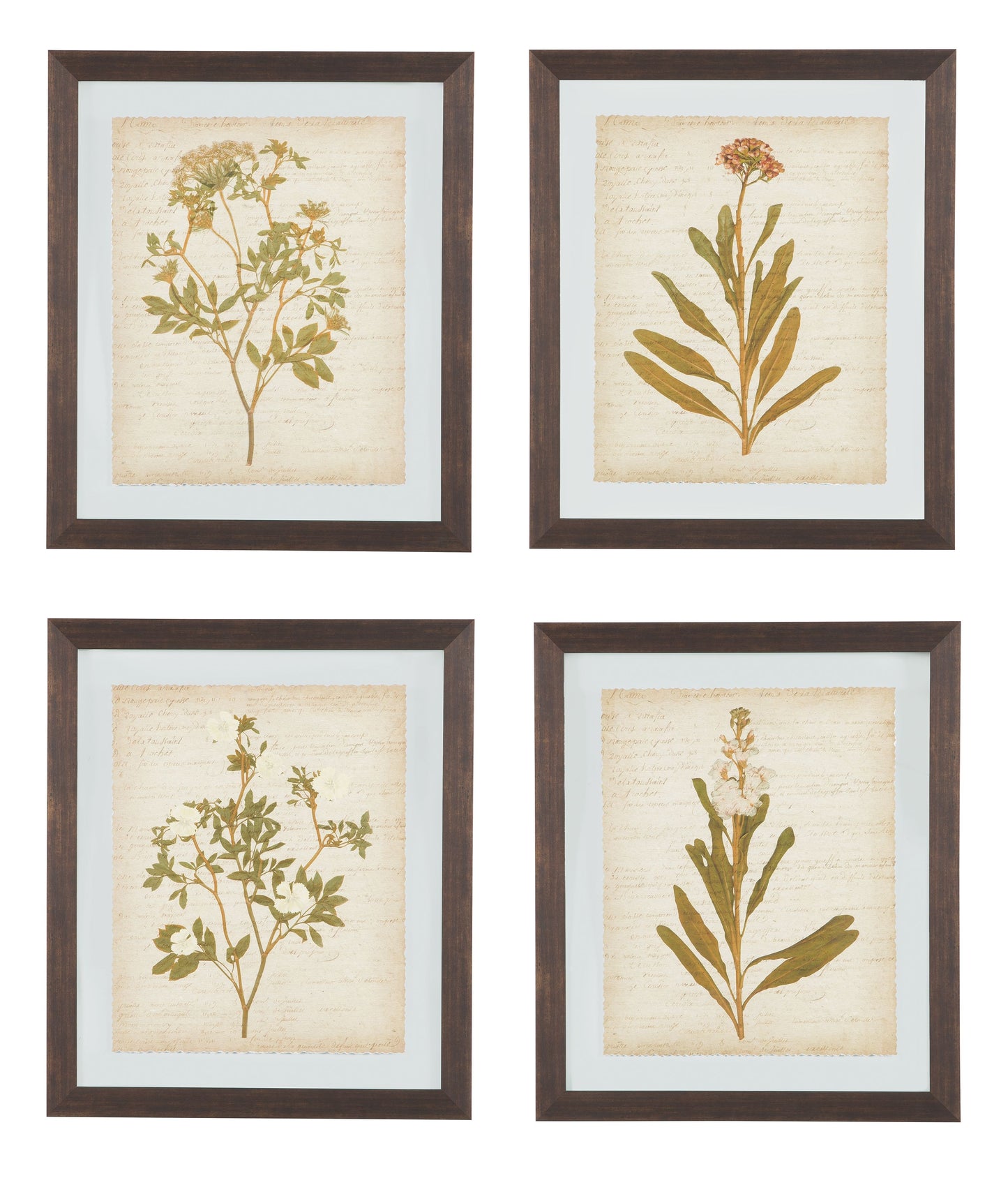 Dyani - Brown - Wall Art Set (Set of 4)